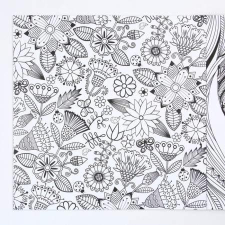 Coloring - anti -stress, album "Magic Patterns" 20 p.-8