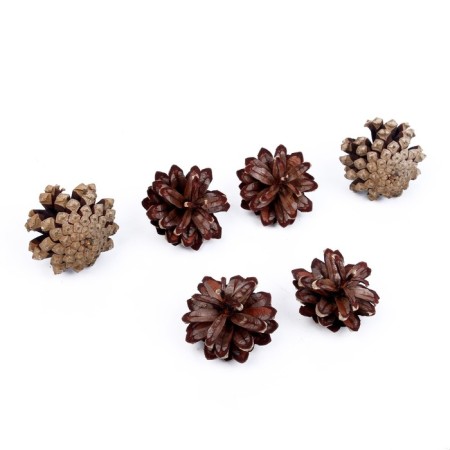 New Year's decor "Set of natural cones" 6 pcs.-2