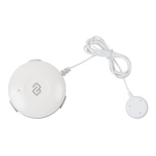 Digma Disense W1 (DSW1) leakage