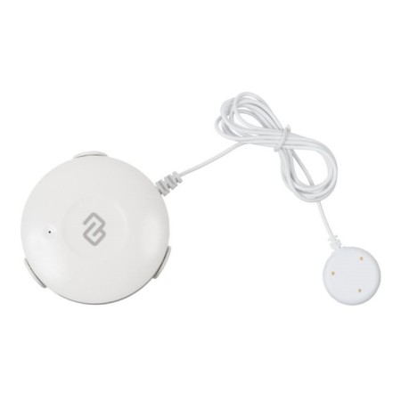 Digma Disense W1 (DSW1) leakage
