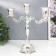 Summary of Metal for 3 candles "Vine vine" silver 22x7.5x25 cm