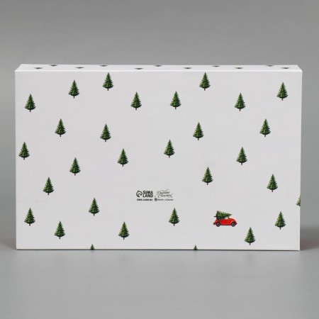 Box of a “fairy tale” book, 20 x 12.5 x 5 cm, New Year-5