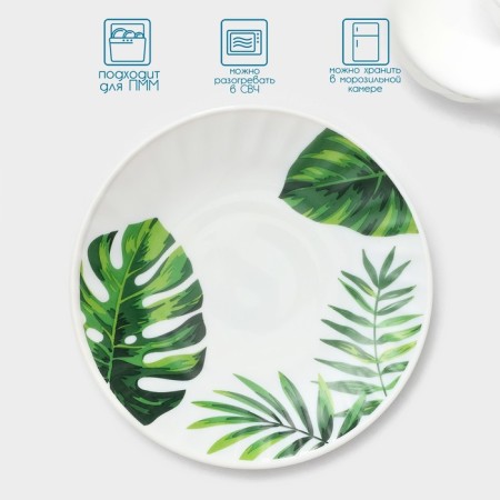 Service table "Fern sheet", 37 items, glass ceramics-5