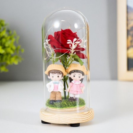 Night -night -night "Beautiful couple" LED from batteries LR44 8x8x16 cm Risalux-1