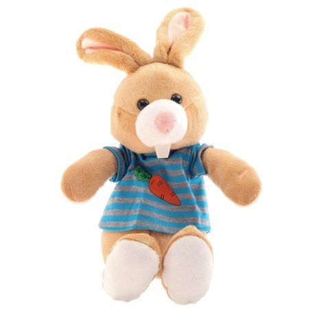 Soft toy "Rabbit in the jacket"