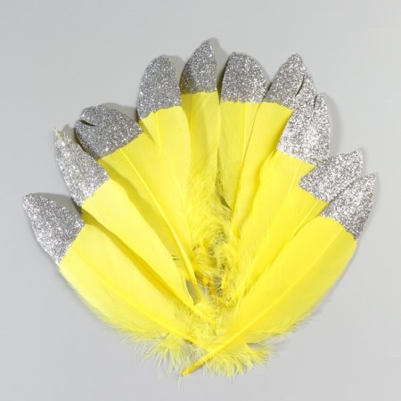 A set of goose feathers 15-20 cm, 10 pcs, yellow with silver crumb-1
