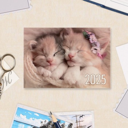 Pocket calendar "Cats" 2025, 7 x 10 cm-4