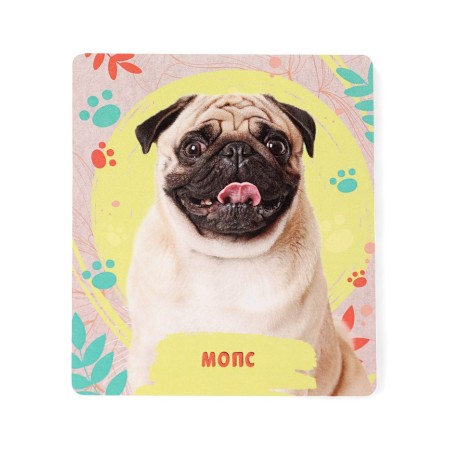 Toy - surprise "Pets. Dogs "-14