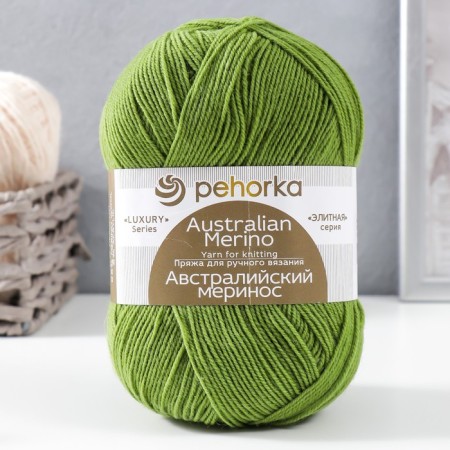 Yarn "Australian Merinos" 95% Merin. Surest, 5% acrylic volumetric 400m/100g (252-Gorokh)