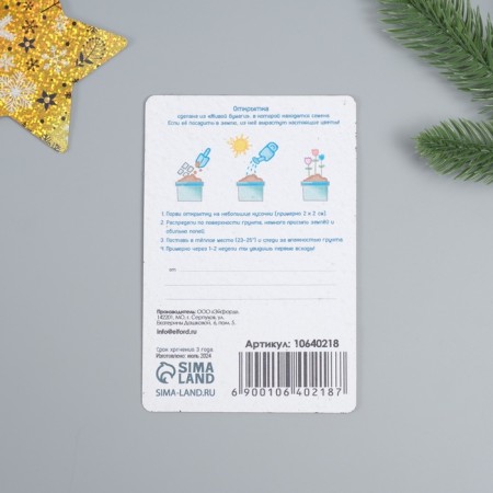 Growing postcard "amazing impressions" 10*15 cm-3