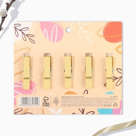 A set of clothespins for decorating the ista "HB", 10 x 12 cm.-6