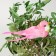 A bird for decoration and floristry, on a clothespin, mix, plastic, 1 pc., 8 x 8 cm