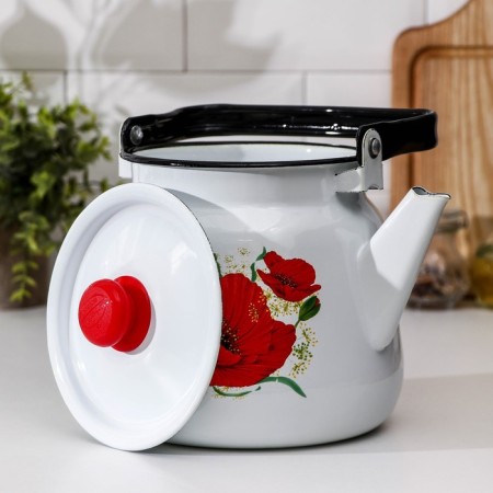 Maki kettle, 3.5 l, enameled cover, induction, white color-1