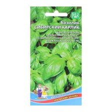 Basil seeds 