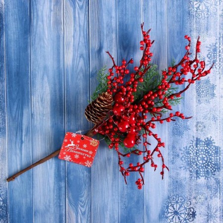 Decor "Winter Dreams" Berry Frig with a bump, 30 cm-2