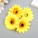 A bud on the leg for decorating "chrysanthemum-faces yellow" d = 5 cm