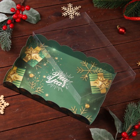 Bearbox "New Year Emerald", 22 x 15 x 3 cm-1