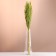 Set of dried flowers "reed", banch length 65 (+/- 6 cm), green