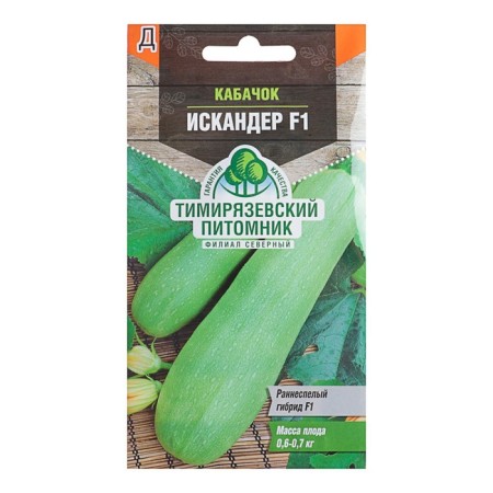 Semen zucchini "Iskander", F1, 5 pcs.