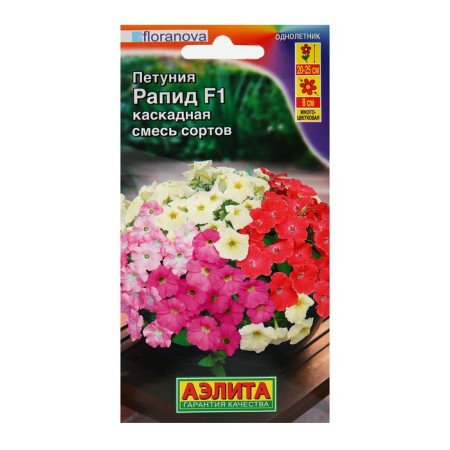 Flowers of Petunia Rapid F1 multi -flowered cascading, a mixture of colors, 4 pcs