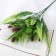 Bouquet "Fern and Fluff" 30 cm, mix
