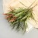 Bouquet "Thui decorative" 34 cm, mix