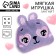 Soft magnet "I want to look at you forever", Bunny