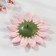 Soap petals "Buds of sunflower. Light pink" 8.5x8.5x3 cm