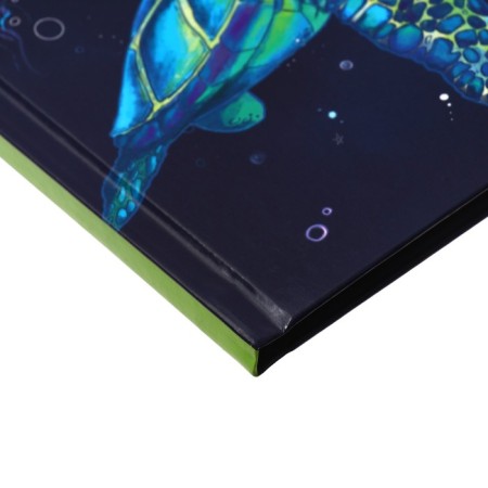 Universal diary for grades 1-11 "Cosmonaut and Turtle", solid cover, glossy lamination, cheat sheet, 48 sheets-2