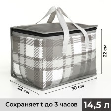 Bag thermo cell 14.5l, 30*22*22cm, lightning department, foil, gray