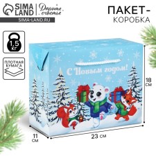 Package - Box 