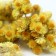 Dry flowers "Immortals" for cupcakes, cakes and drinks, 5 g.