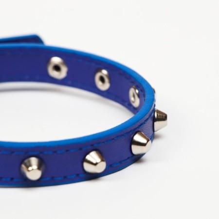 A collar with blunt spikes 38 x 1.5 cm, Osh 26-33, frost-resistant PU, blue-4