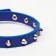 A collar with blunt spikes 38 x 1.5 cm, Osh 26-33, frost-resistant PU, blue