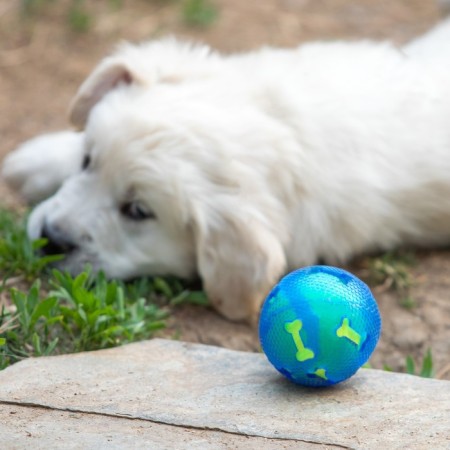 Dog ball "Double pleasure", tpr+felt ball, 7.6 cm-3