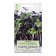 Seeds on the microwave "Basil", vegetable, mix, 5 g