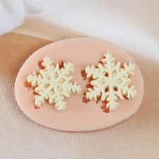 Mold Silicon 