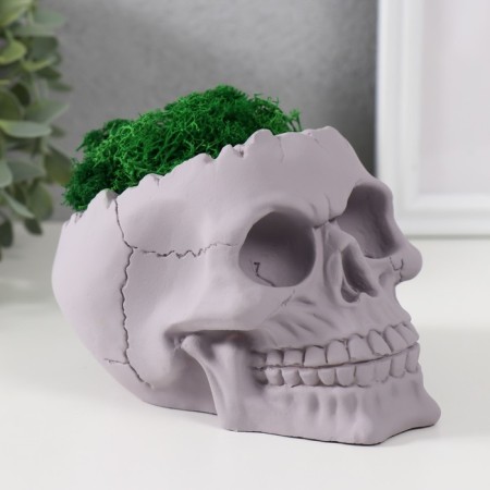 Kashpo concrete "skull" height 10 cm gray with moss (moss green stabilized)-1