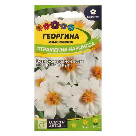 Georgin's flowers "Narcissus Reflection", this. ALT, c/p, 0.2 g