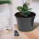 Pot for seedlings, 20 l, d = 35.5 cm, h = 30.5 cm, black, Greengo