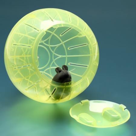 Ball for rodents "Pigzon", 14.5 cm, yellow-2