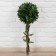 Artificial tree "Bonsai" 70 cm ball d 25 cm