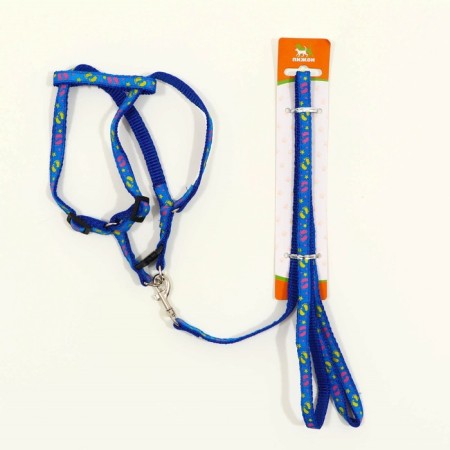 Set "Color Transes", leash 120 x 1 cm, fire 23-35 cm, blue-10
