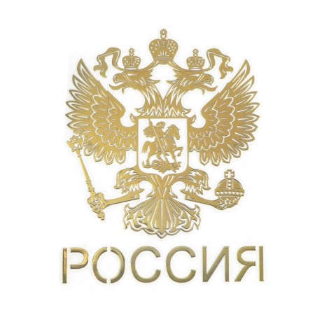 Car sticker, emblem of Russia, 9.1 × 7 cm, golden-2