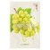 Facial face mask The Saem Natural Mask Sheet Green Graph, 21 ml