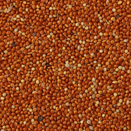 PSO "Perriko" for birds, package 400 g-1