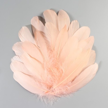 A set of goose feathers 13-18 cm, 20 pcs, pink-1