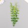 Artificial plant for creativity "epiprememum" set of 6 pcs 15 cm