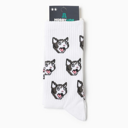 Women's socks "cat meme", white color, rr 36-40-2