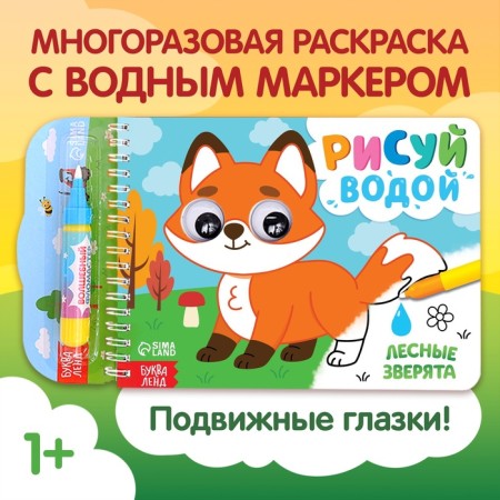 Water coloring “Draw water. Forest animals "